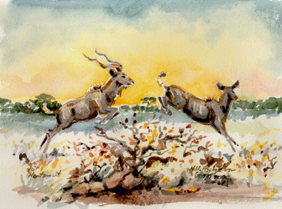 Bild Zwei springende Kudus im Sonnenuntergang von Uli Aschenborn